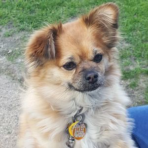 Meet your Posher, James